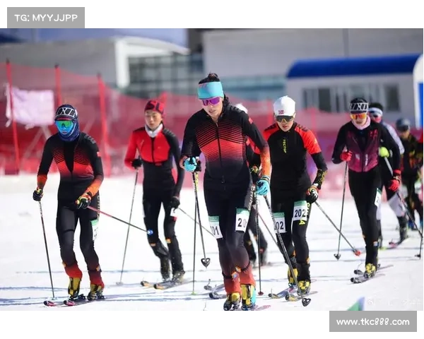 今日的体育赛事